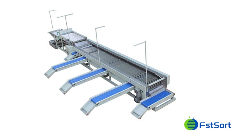 images/1747965079934cherry tomato grading machine.jpg